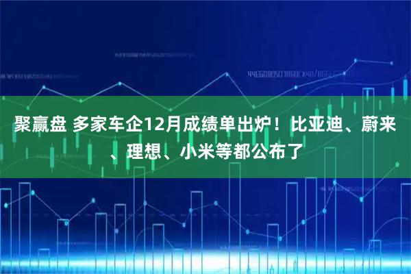 聚赢盘 多家车企12月成绩单出炉!比亚迪、蔚来、理想、小米等都公布了